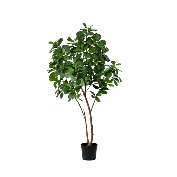 Artificial Plants: Ficus Lyrata tree 23Ø 190cm