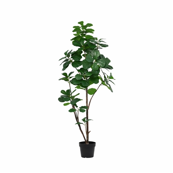 Artificial Plants: Ficus Lyrata branched 19Ø 160cm