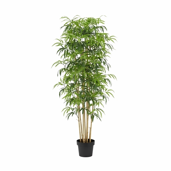 Artificial Plants: Bamboe 20Ø 160cm